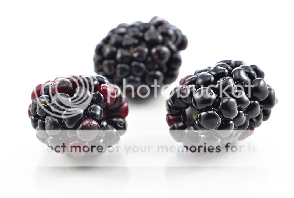 100 Blackberry Seeds Organic Seeds S010 eBay